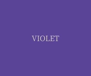 violetのカラー